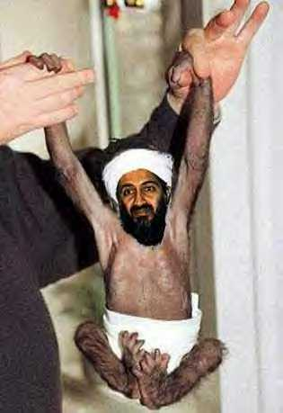 osama.gif