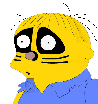 racoon.gif